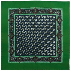 Green silk pocket square with a paisley pattern PS4082a.jpg