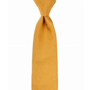 Gold  shantung tie with a distinctive structure