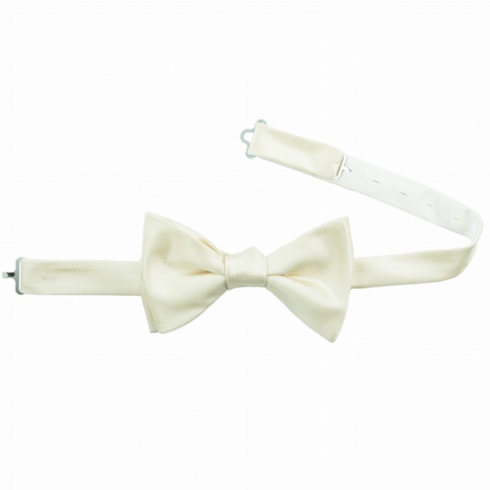 A self-tying silk bow tie in champagne color