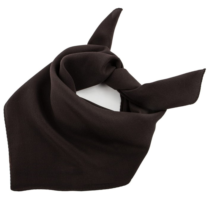 Dark brown silk scarf AS0123a.jpg