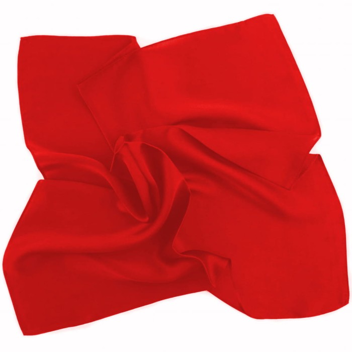 Red silk scarf