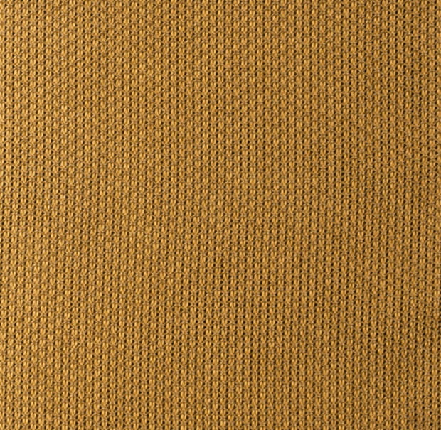 FSG61549a.jpg