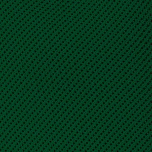 KSG6253a.jpg