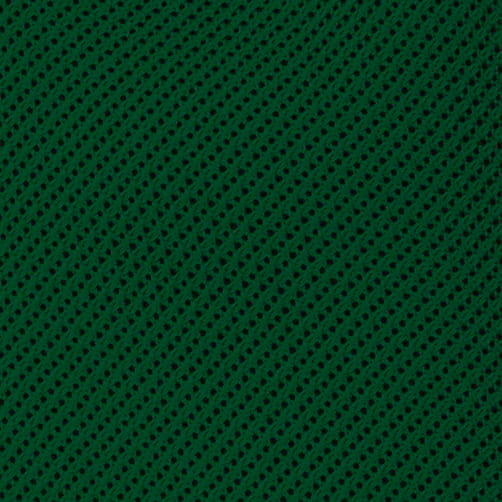KSG6253a.jpg